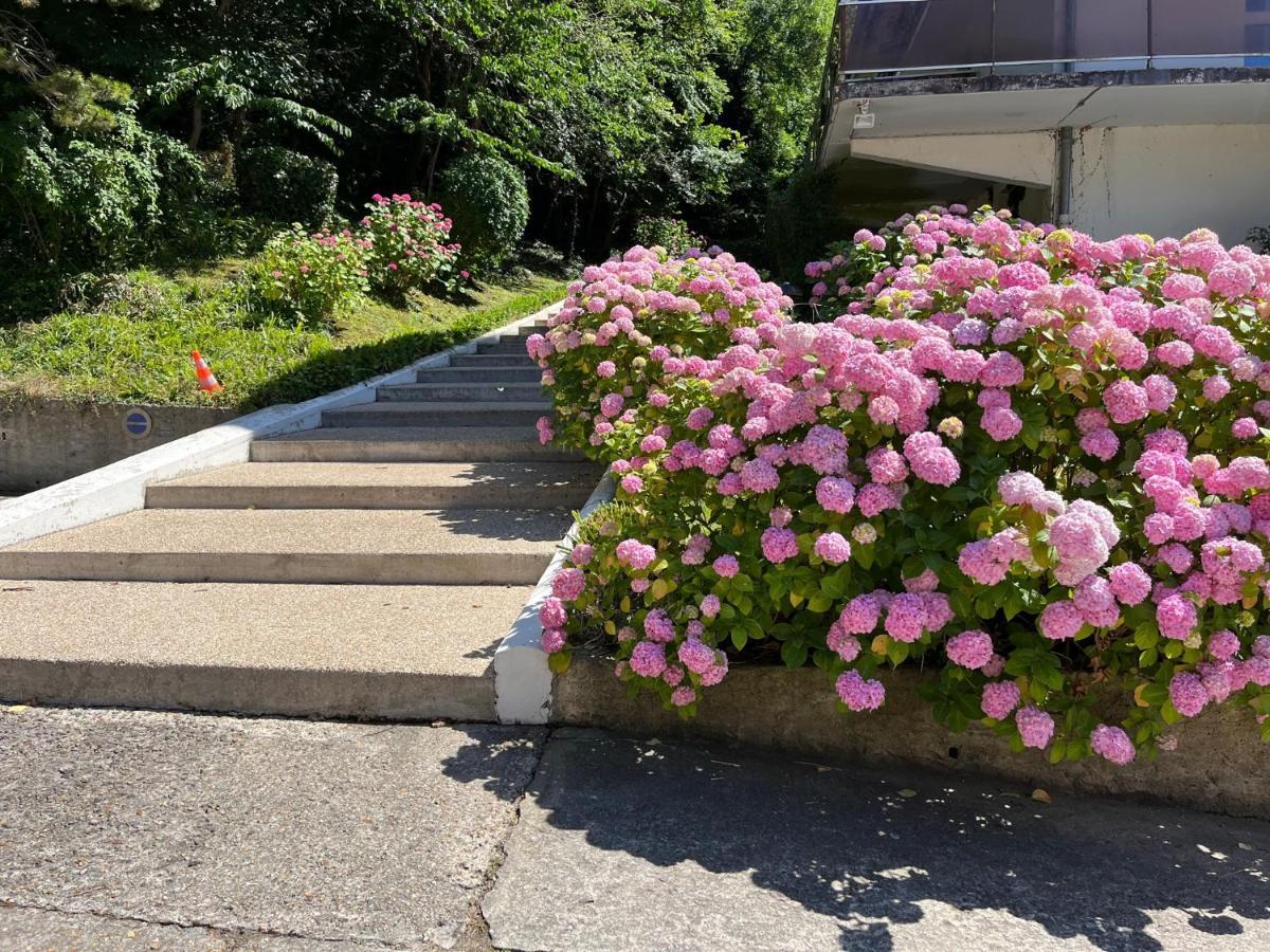 Hauteurs De - Rénové 2/3 Pièces Avec Terrasse Au Calme Appartement *